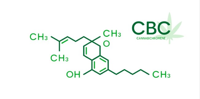 Precision Plant Molecules