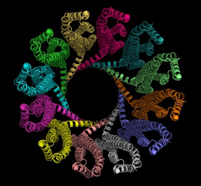 Computer-assisted visualization of Versatope influenza vaccine candidate. The influenza proteins assemble into a large molecular complex on the surface of exosome-like membrane vesicles. Copyright 2019 Versatope Therapeutics. Computer-assisted visualization of Versatope influenza vaccine candidate. The influenza proteins assemble into a large molecular complex on the surface of exosome-like membrane vesicles. Copyright 2019 Versatope Therapeutics.