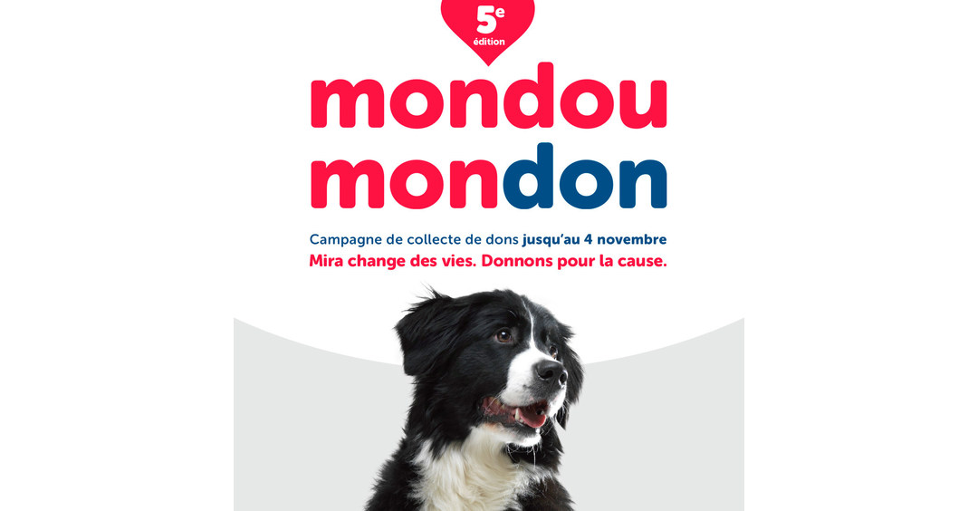 Produits de transport pour chiens - Mondou