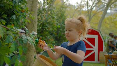 Raised &amp; Rooted™ Nuggets Made with Plants Turns Tables on Fall Apple Picking
