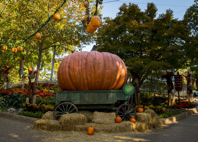 Busch Gardens Williamsburg has been named the “World’s Most Beautiful Theme Park” for the 29th consecutive year.  The park is now transformed for its popular Halloween event, Howl-O-Scream. Beautiful fall foliage, combined with seasonal landscaping transform Busch Gardens Williamsburg into an incredible destination for fall travel.
