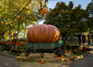 Busch Gardens® Williamsburg Retains Prestigious Title As World's Most Beautiful Park