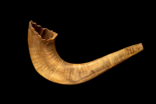 The Museum of Jewish Heritage – A Living Memorial to the Holocaust has revealed a historic artifact—a shofar, a ram’s horn that is made into a special wind instrument used during Jewish High Holiday religious services and that was hidden and clandestinely used in the Auschwitz concentration camp—as part of its acclaimed exhibition "Auschwitz. Not long ago. Not far away."  Photo credit: Museum of Jewish Heritage/John Halpern