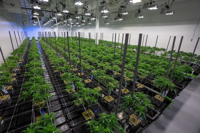 Las Vegas Cultivation Facility (Groupe CNW/1933 Industries Inc.)