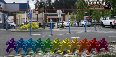 Choose a Color, Any Color for Your Gorilla Post Delineators.