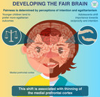 "Social Brain" Changes Structure With Evolving Concept of Fairness