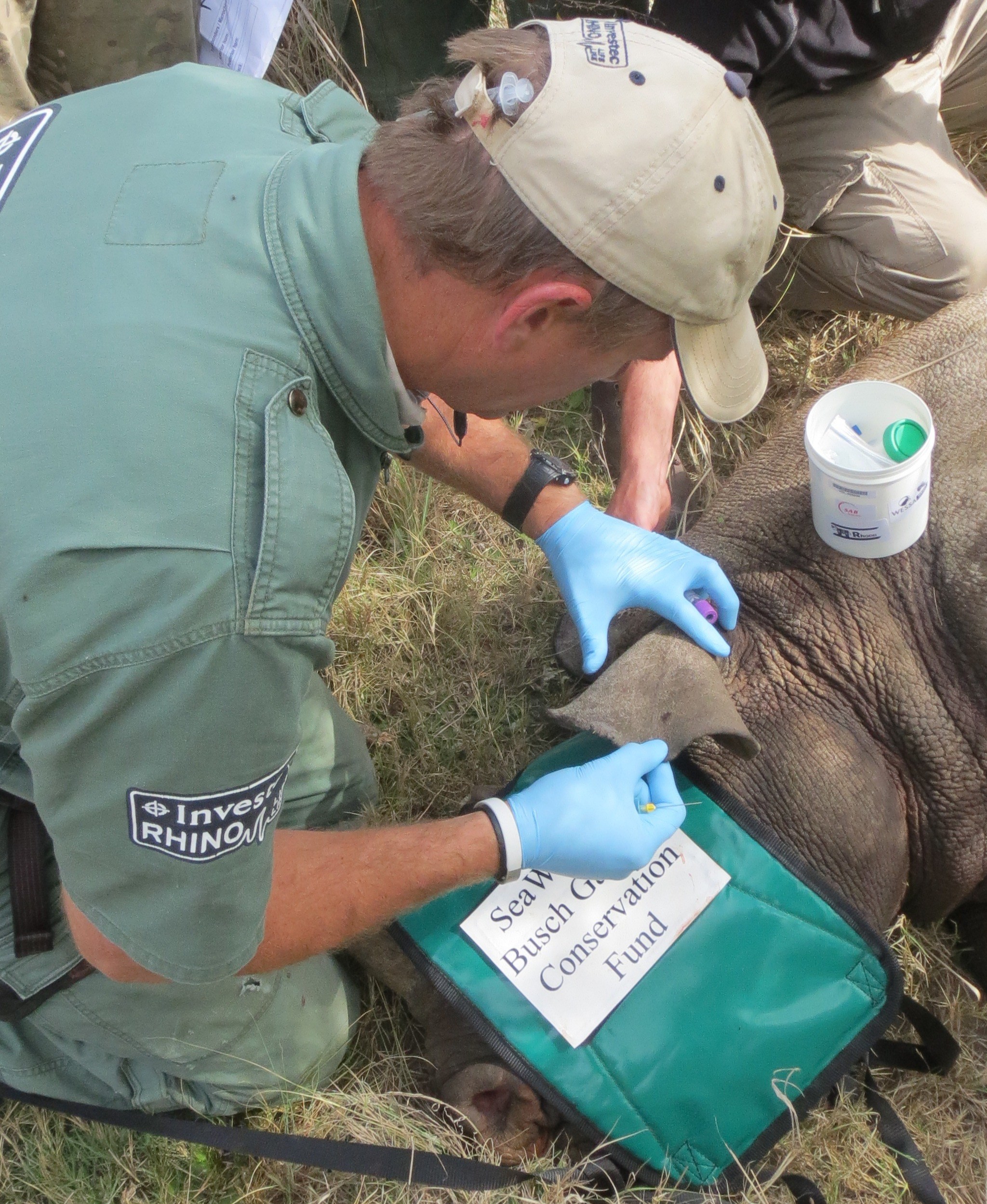 The Seaworld Busch Gardens Conservation Fund Reaches Record