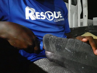 Clearwater Marine Aquarium Saves Baby Manatee in Belize