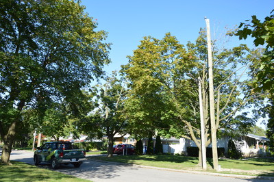 Residential area in St. Catharines that Alectra is upgrading 71 homes from rear lot services to front yard services (CNW Group/Alectra Utilities Corporation)