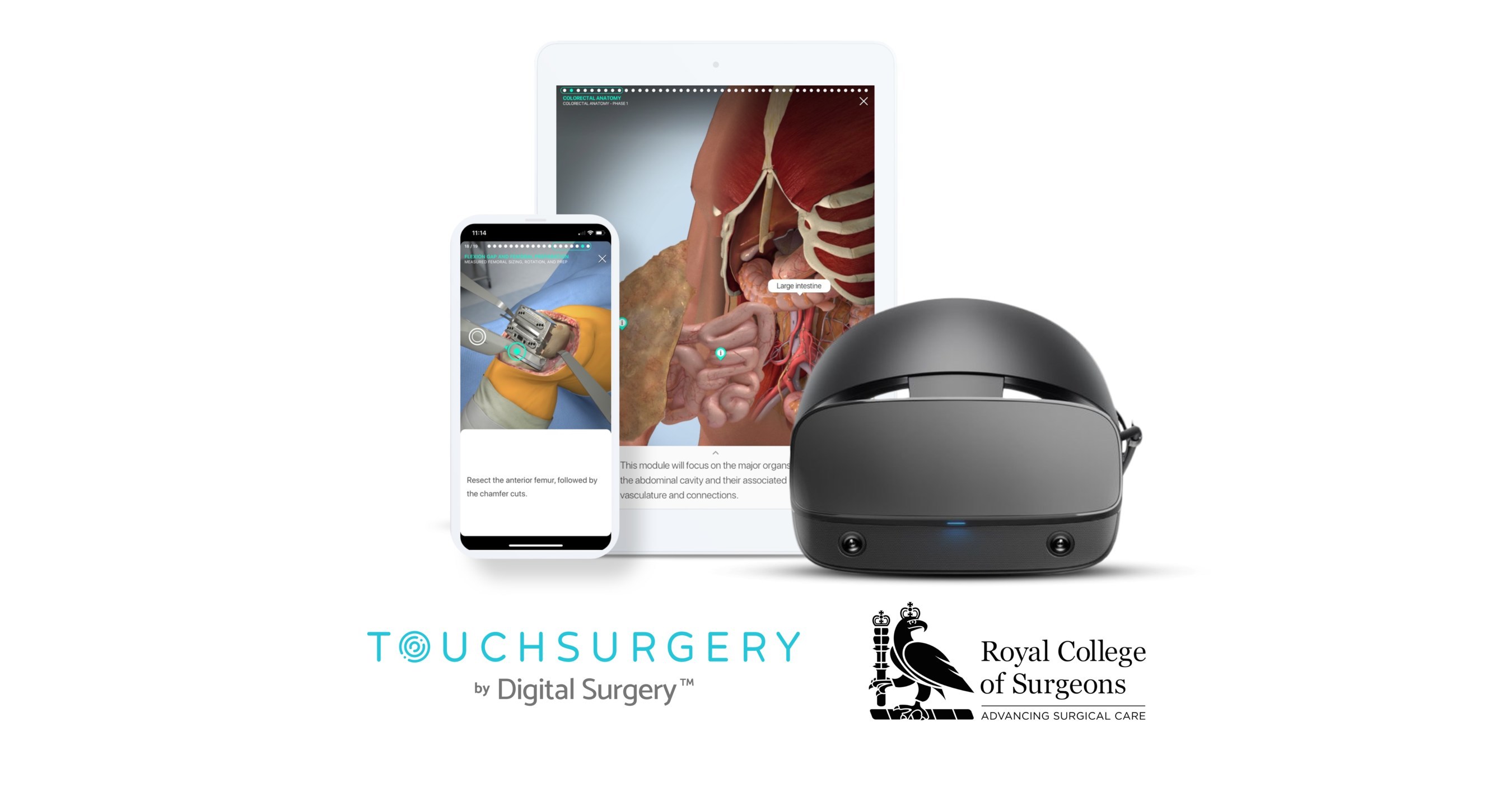 Digital Surgery's Touch Surgery Platform Receives the Firstofitskind