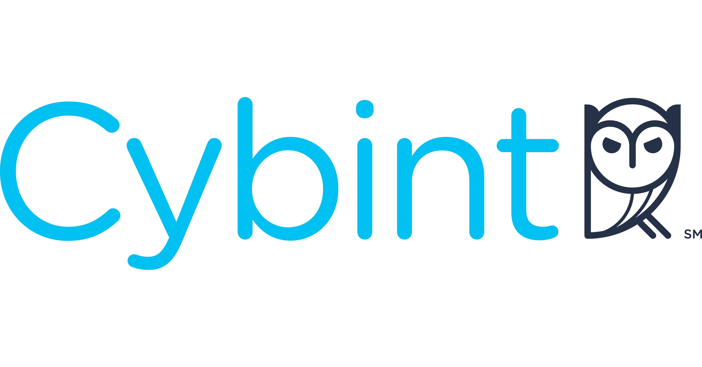 Image result for cybint