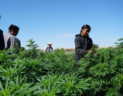 First Hemp Store is Open on Navajo Nation First Hemp Store is Open on Navajo Nation