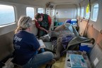 Airborne Rescue in Zimbabwe by Wild is Life-ZEN and the International Fund for Animal Welfare Saves Tiny Elephant Orphan