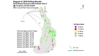 Diagram 5: 2019 Drilling Results 
2019 Mineral Resource Block Model Zone 2
(@ 3.0 g/t Au Cut-off Grade) (CNW Group/Rubicon Minerals Corporation)