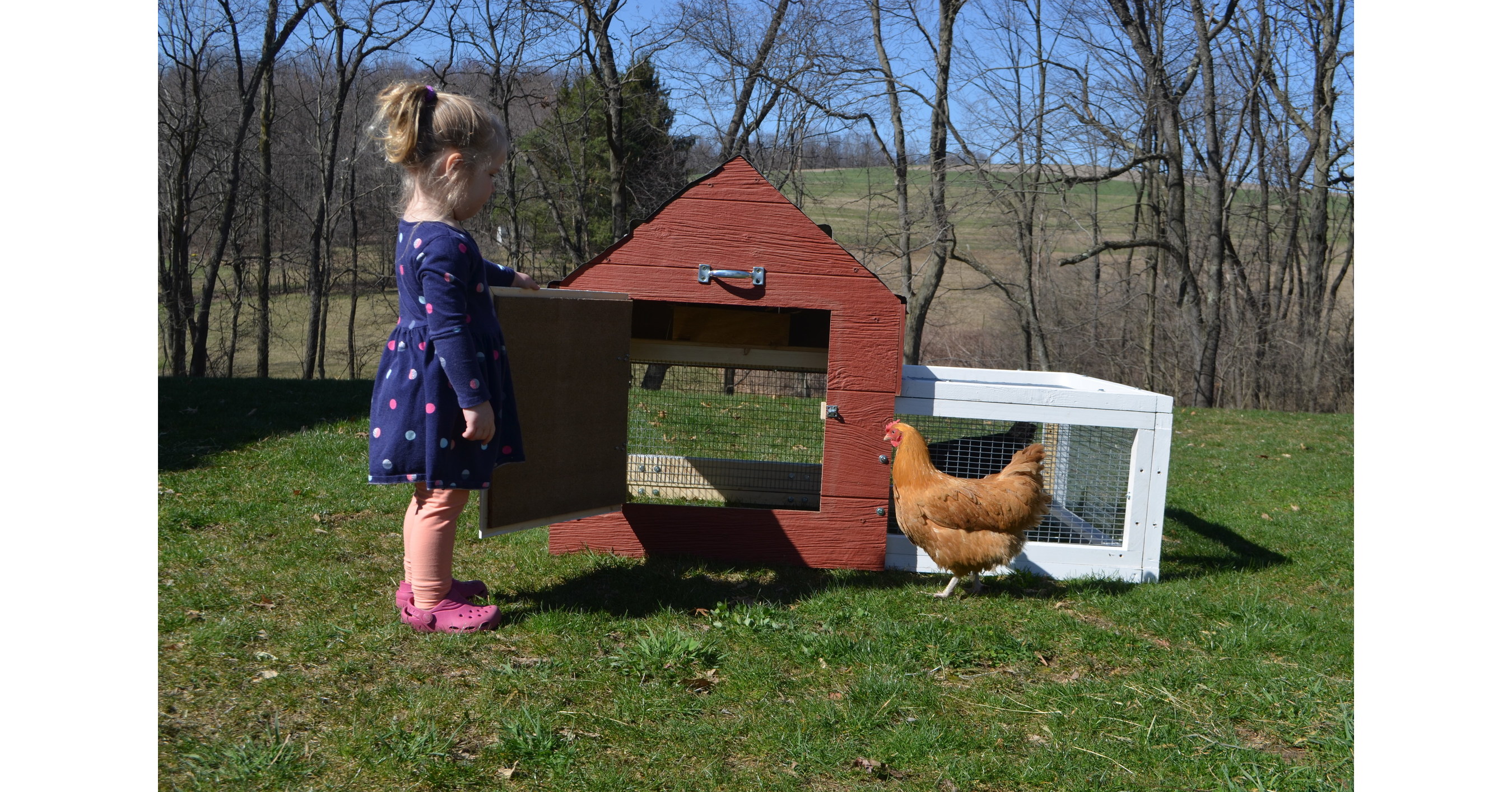 Rent The Chicken Planning for 2020 in Connecticut