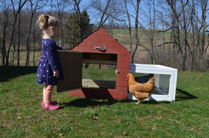 Rent The Chicken Planning for 2020 in Connecticut