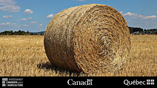 Plus de 9 millions de dollars versés aux producteurs de foin dans le cadre du Programme d’assurance récolte (Groupe CNW/La Financière agricole du Québec)
