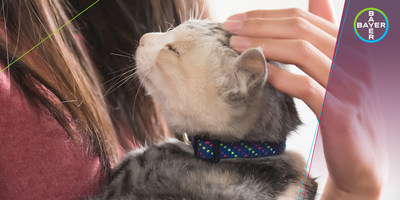 No one should have to choose between their safety and their pet. No one should have to choose between their safety and their pet.