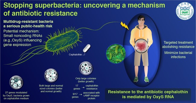 The Threat of Multidrug Resistance: One Step Toward Unraveling the ...