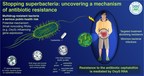 ­­­The Threat of Multidrug Resistance: One Step Toward Unraveling the Rise of Superbacteria