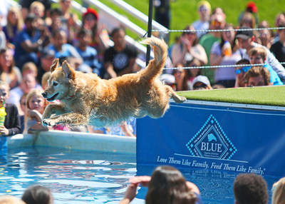 Dog Bowl is a free festival held annually every Memorial Day Weekend at River Place Shops in Michigan's Little Bavaria, featuring more than 25 athletic competitions for dogs like DockDogs.