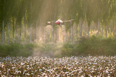 XAG Drone Spraying Cotton Defoliate in Xinjiang