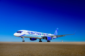 United Airlines Her Art Here California Livery