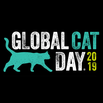 Alley Cat Allies Global Cat Day is Wednesday, October 16, 2019. Learn how to get involved by visiting https://globalcatday.org/pledge/