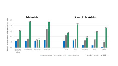 Infigratinib showed significant improvements in nine measures of bone development in model of achondroplasia. Infigratinib showed significant improvements in nine measures of bone development in model of achondroplasia.