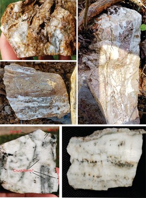 Examples of  quartz veins samples recently collected from the Properties where two new low sulphidation epithermal systems were discovered by prospector, Patrick Bellefontaine. (CNW Group/Northern Shield Resources Inc.)