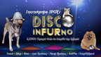Sacramento SPCA To Host 'Disco InFURno' Gala To Benefit Animals In Need