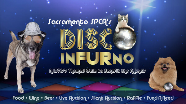 Sacramento SPCA's Disco InFURno - a 1970's themed gala to benefits the animals