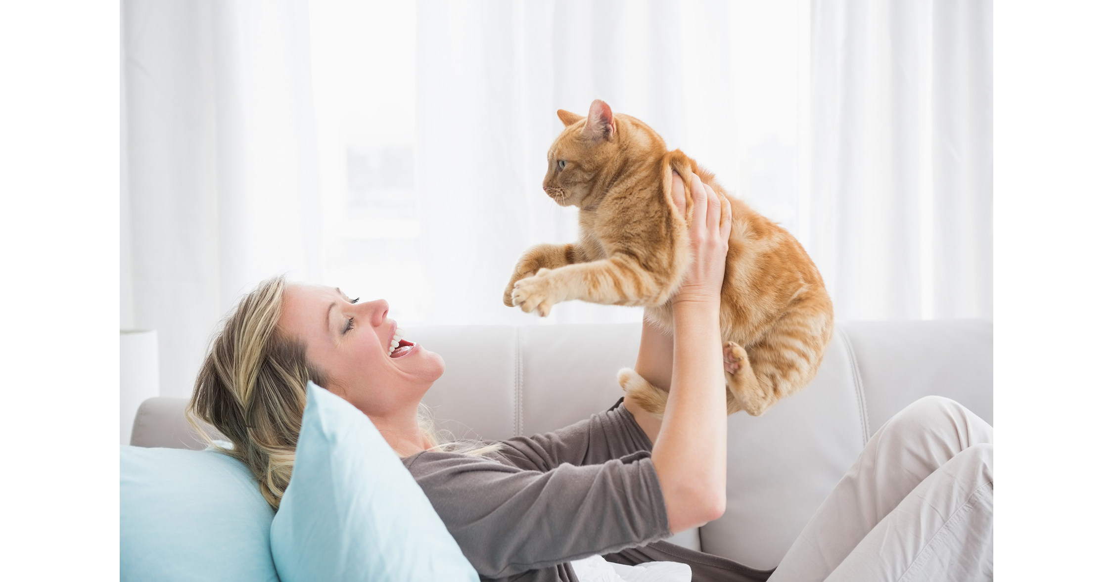 How to Train Your Cat