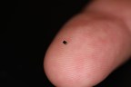OmniVision Announces Guinness World Record for Smallest Image Sensor and New Miniature Camera Module for Disposable Medical Applications