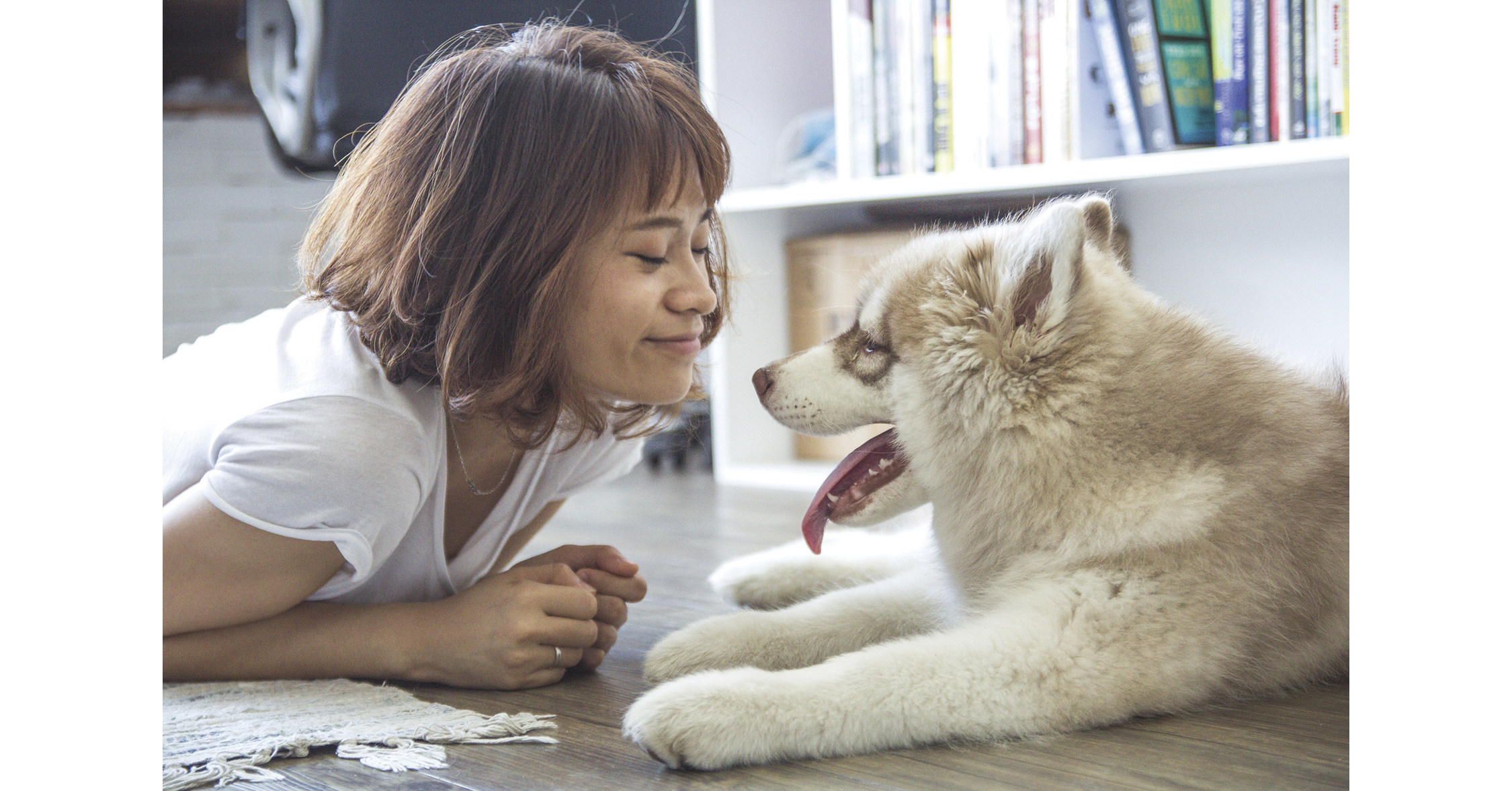 How to Find the Right Dog for Your Family