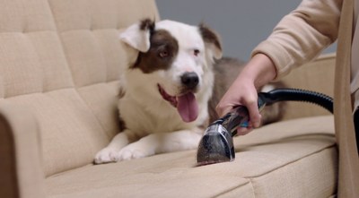 what kind of dog is in the bissell commercial