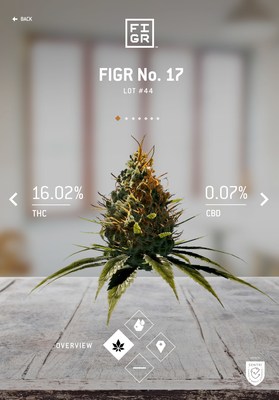 The Figr Budtender app is available for Apple and Android devices. (CNW Group/FIGR Inc.)