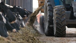 CRU: Will High-cost Animal Feed Phosphate Producers Survive the Cull