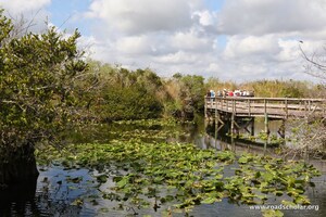 Road Scholar Launches New Environmental Program Series