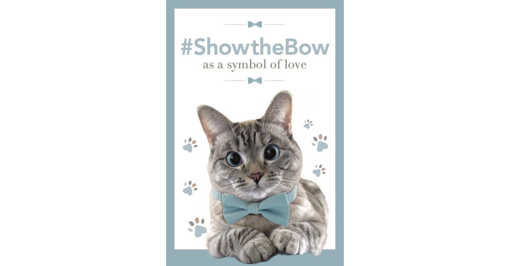 The World's Most Famous Instagram Cat Launches ShowtheBow Campaign