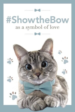 The World's Most Famous Instagram Cat Launches #ShowtheBow Campaign