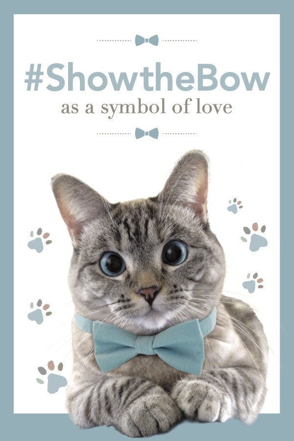 #ShowtheBow