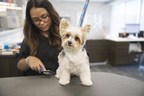 Grooming Contributes to Healthier, Happier Pets