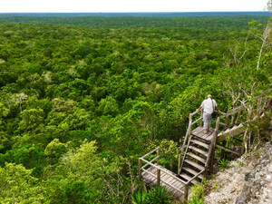 Maya Biosphere Watch opposes proposal for jungle train and Disney-like theme park