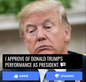 New Website "Fly" Lets Citizens Vote on Everything