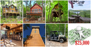 Last Chance to Own Entire Treehouse Resort Through Photo Competition