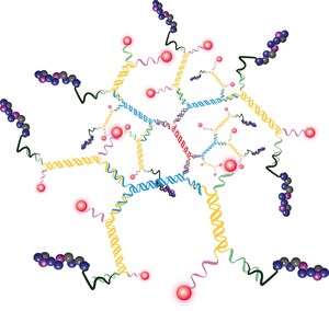 Genisphere's Collaborators Publish Research in Brain