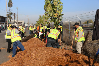 AB&I Foundry Plants Trees for Community Beautification