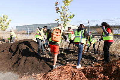 AB&I Foundry plants 45 trees to deter illegal dumping and add beauty to nearby community.