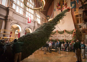 Biltmore starts the holiday season with arrival of 34-foot-tall Christmas tree